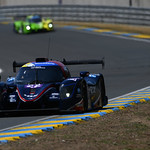 Flickr photo 22-DSC_7880