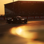 Flickr photo 23-7B1A9290