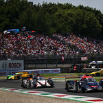 Flickr photo 22-1MDH5619