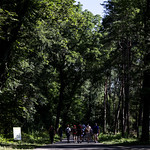 Flickr photo Monza-1MDH3477 (1)