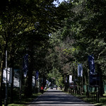 Flickr photo Monza-1MDH3443