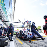 Flickr photo 22-2MDH4216