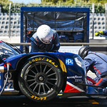 Flickr photo 22-DSC_6845