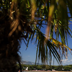 Flickr photo 22-2MDH8799