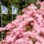 Flickr photo PR-1MDH0038