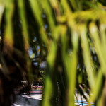 Flickr photo 22-1MDH9125