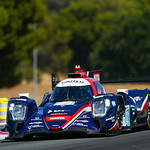 Flickr photo 21-DSC_8215