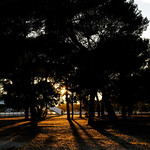 Flickr photo PR-DSCF0591