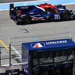 Flickr photo 22-1MDH2229