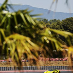 Flickr photo 22-1MDH9178