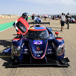 Flickr photo 23-1MDH9656