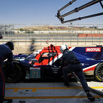 Flickr photo 21-1MDH9513