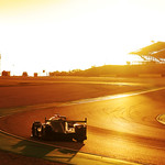 Flickr photo 22-2MDH4844