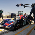 Flickr photo 21-1MDH9523