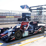 Flickr photo 21-2MDH4608