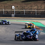 Flickr photo 22-1MDH9858