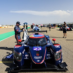 Flickr photo 23-1MDH9658