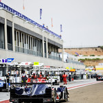 Flickr photo 23-1MDH2118