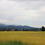 Flickr photo Japan-7B1A9699