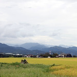 Flickr photo Japan-7B1A9682