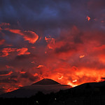 Flickr photo 2023JEP_4107