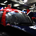 Flickr photo UA_7B1A0206