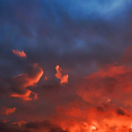 Flickr photo 2023JEP_4108