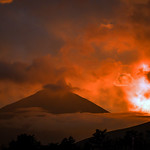 Flickr photo 2023JEP_4109