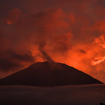 Flickr photo 2023JEP_4106