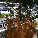 Flickr photo 21-2MDH5257