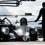 Flickr photo 21-1MDH7298