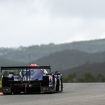 Flickr photo 22-DSC_2825