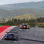 Flickr photo 23-DSC_8313