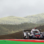 Flickr photo 21-0Q3A3131