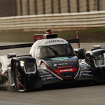 Flickr photo 21-0Q3A2003