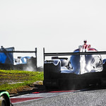 Flickr photo 22-DSC_9677