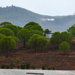 Flickr photo 22-DSC_2973