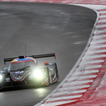 Flickr photo 23-DSC_6548