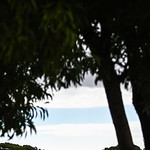 Flickr photo 22-DSC_3180