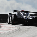 Flickr photo 23-DSC_8005