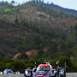 Flickr photo 22-DSC_3675