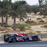 Flickr photo 23-1MDH7296