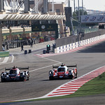 Flickr photo 22-1MDH2688