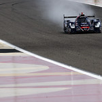 Flickr photo 23-1MDH7650