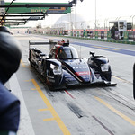 Flickr photo 23-1MDH3834