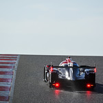 Flickr photo 21-DSC_7487