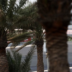 Flickr photo 22-1MDH6931