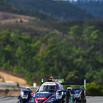 Flickr photo 21-DSC_3713