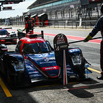 Flickr photo 22-DSC_3587