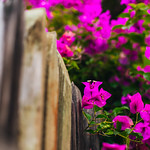 Flickr photo 11102023-VelocityInvitational-2473